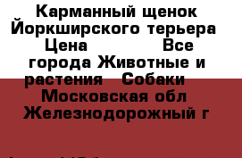 Карманный щенок Йоркширского терьера › Цена ­ 30 000 - Все города Животные и растения » Собаки   . Московская обл.,Железнодорожный г.